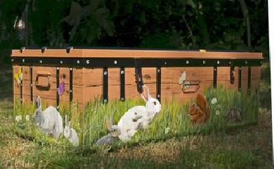 trompe loeil , peinture decorative,fresques murales,artisan d'art